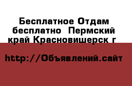 Бесплатное Отдам бесплатно. Пермский край,Красновишерск г.